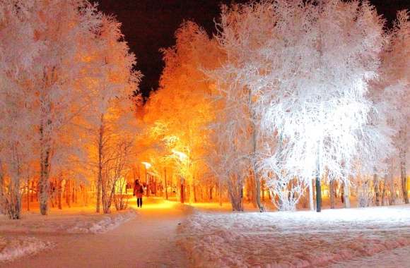 Enchanting Winter Glow