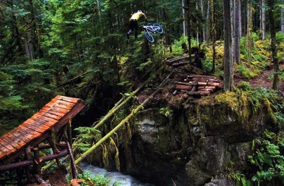 Extreme BMX Forest Jump