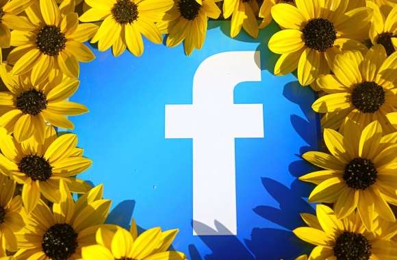 Facebook Technology with Sunflower Frame