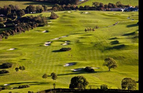 Fairway Landscape Tree Golf Green Golf Course Golf Sports