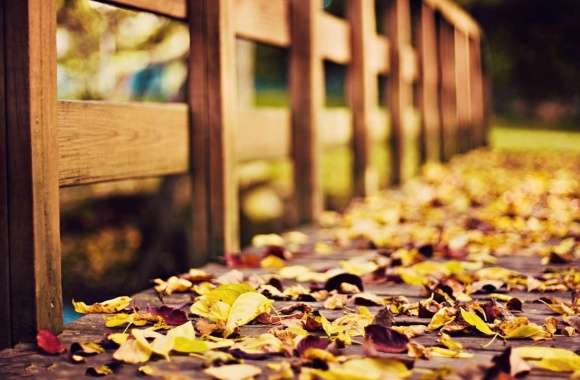 Fall Foliage Bridge - wallpapers hd quality