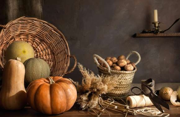 Fall Melon Nut Pumpkin Photography Still Life wallpapers hd quality