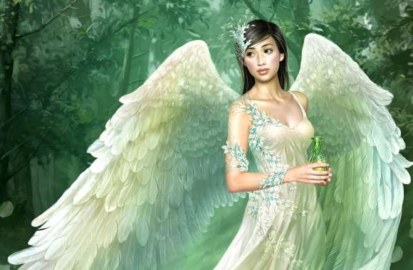 Fantasy Angel Wings