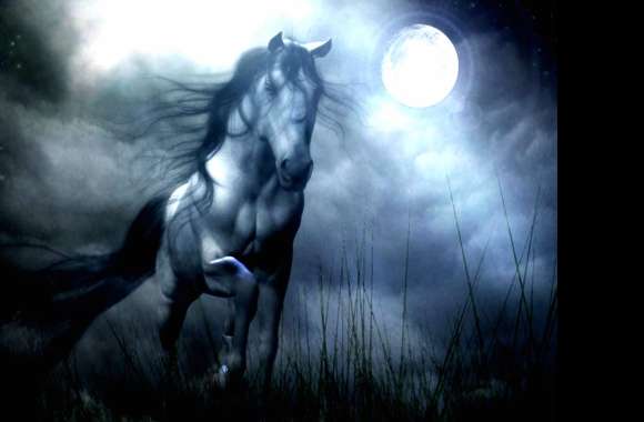 Fantasy Horse Night -