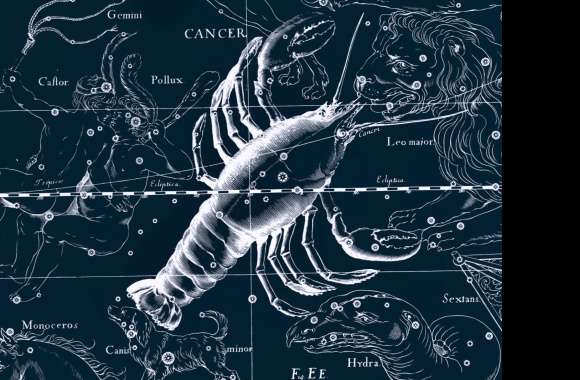 Fantasy Zodiac Constellations