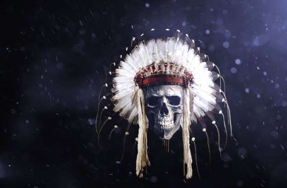 Feather Native American Dark Skull wallpapers hd quality