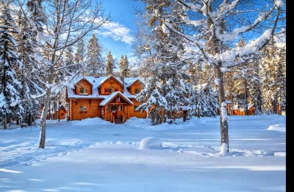 Field Cabin Canada Snow Tree House Photography Winter