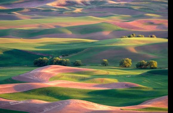 Field Hill Landscape Nature Italy Photography Tuscany