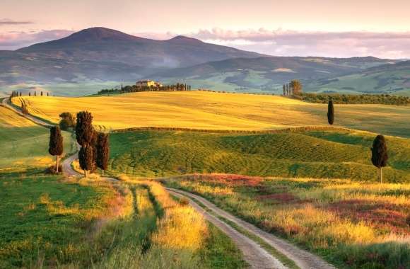 Field Landscape Hill Italy Nature Photography Tuscany