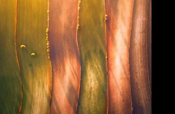 Field Nature Photography Aerial