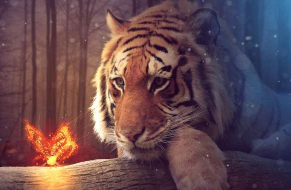 Firefly Dreams A HD Tiger Wallpaper