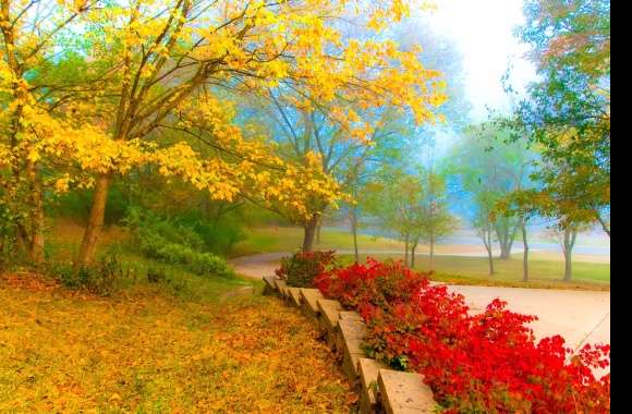 Fog Tree Path Fall Photography Park wallpapers hd quality