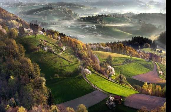 Fog Valley Forest Tree Field Earth Photography Landscape