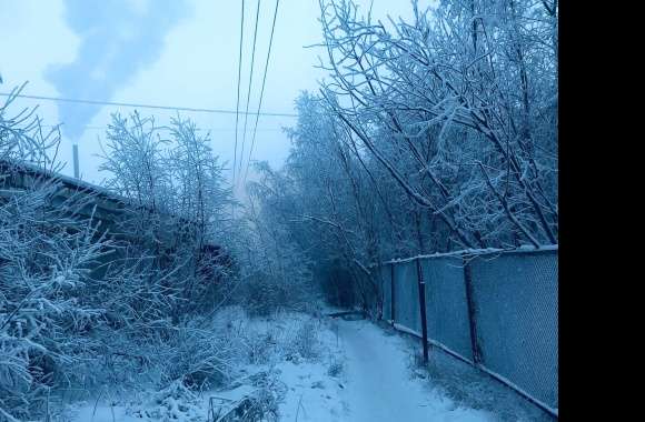 Foggy Silent Hill Winter Frozen Rain