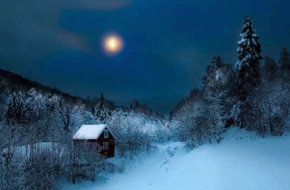 Forest House Snow Night Blue Moon Landscape Photography Winter