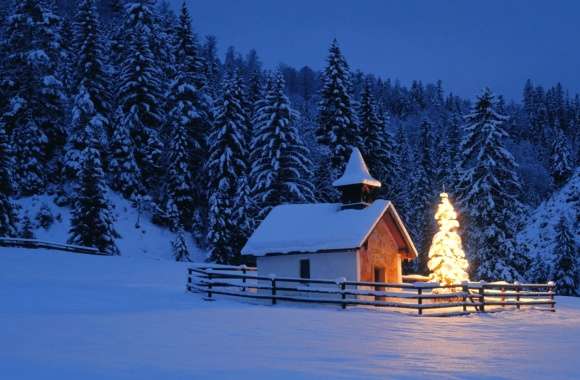 Forest Snow Light Tree Church Winter Earth Holiday Christmas