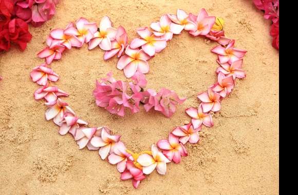 Frangipani Heart-shaped Sand Petal Photography Love