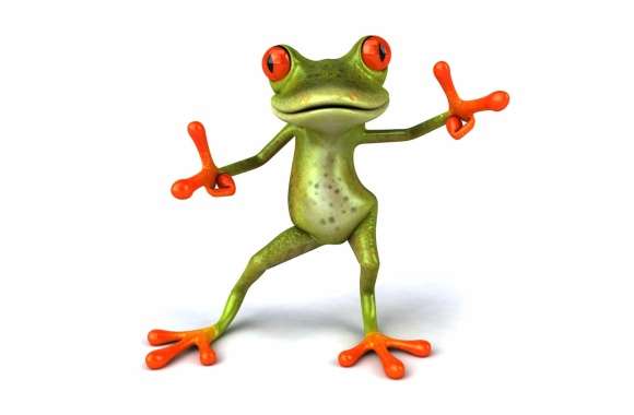 Frog Artistic 3D Art