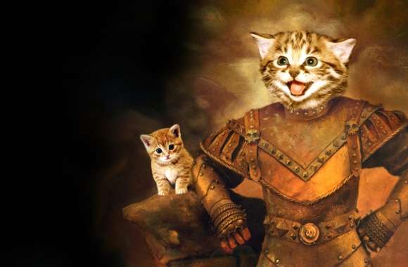 Funny Fantasy Cat Manipulation wallpapers hd quality