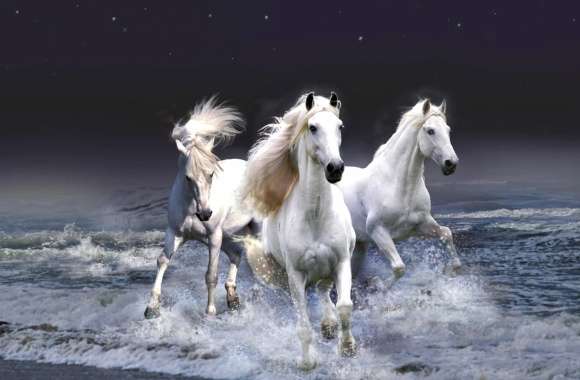 Galloping White Horses