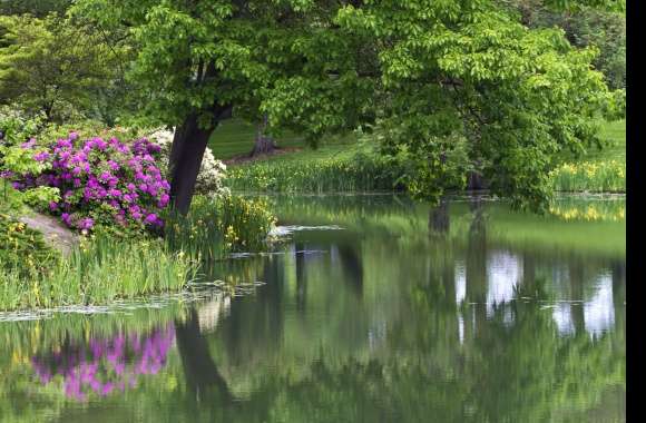 Garden Park Flower Water Reflection Tree Landscape Photography Lake