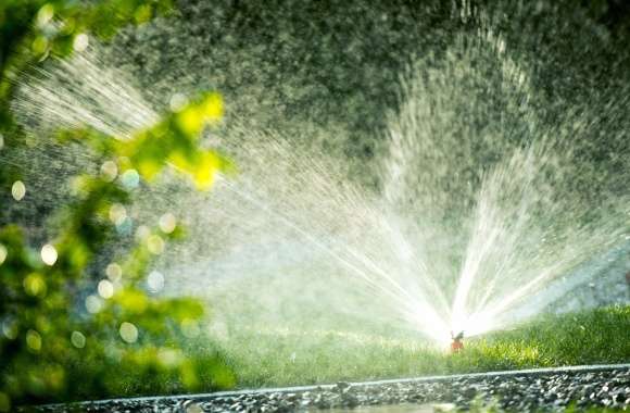 Garden Photography Water