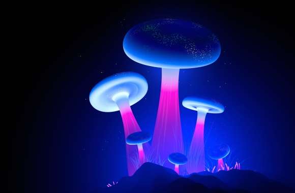 Glowing Mushrooms wallpapers hd quality