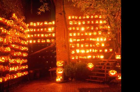 Glowing Pumpkin Wonderland