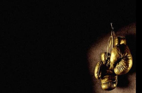 Golden Boxing Gloves