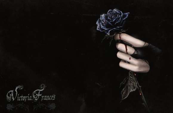 Gothic Love and Blood Rose - wallpapers hd quality