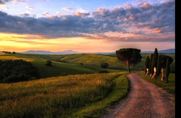 Grass Cloud Hill Tree Landscape Road Italy Photography Tuscany