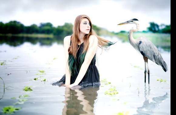 Great Blue Heron and Woman - HD Mood Wallpaper