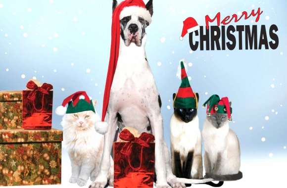 Great Dane Santa Hat Gift Cat Dog Merry Christmas Holiday Christmas