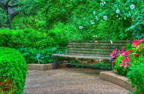 Green Flower Spring Park Bench Photography HDR