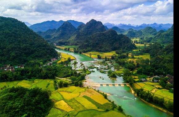 Green River Forest Mountain Vietnam Earth Photography Landscape