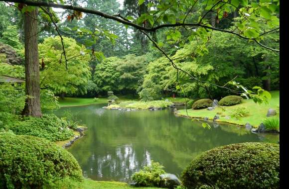 Greenery Tree Bush Grass Pond Vancouver Canada Photography Park