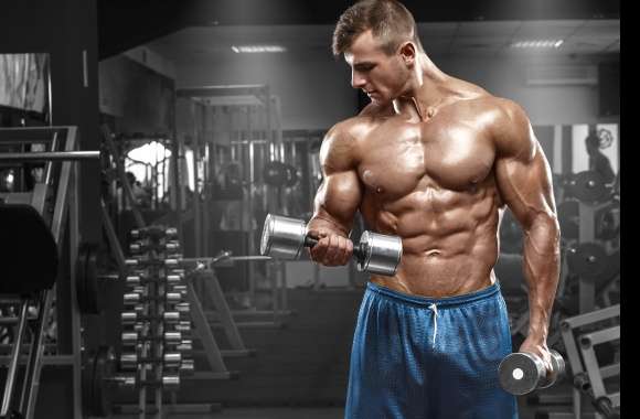 Gym Bodybuilding Sports wallpapers hd quality