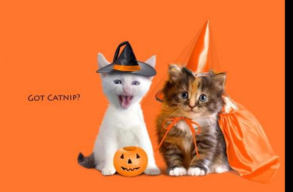 Halloween Kittens