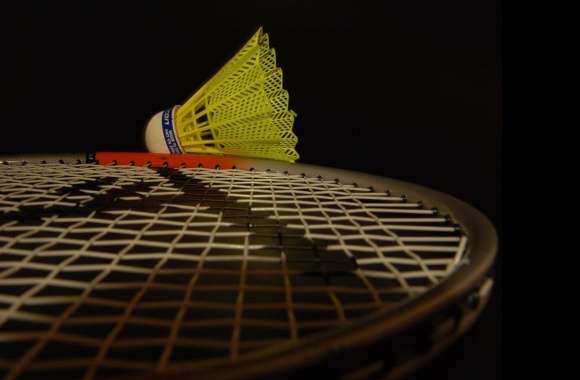 HD Badminton Sports Wallpaper