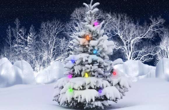 HD Christmas Tree with Lights in Snowy Wonderland Wallpaper