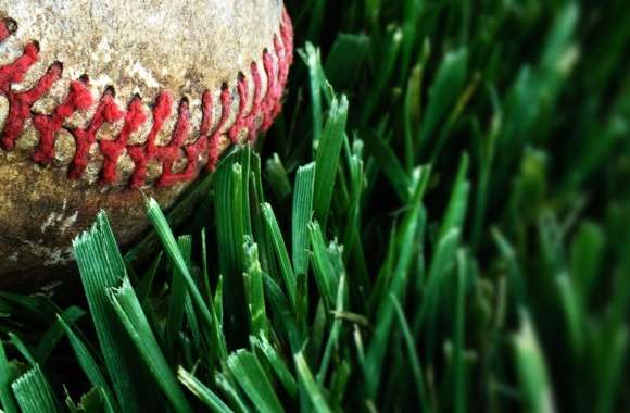 HD Wallpaper of Baseball on Lush Green Grass