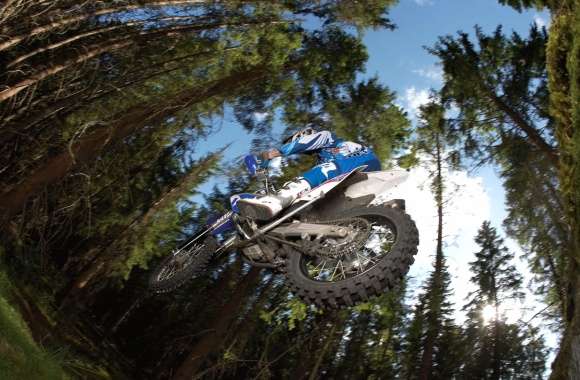 High-Octane Motocross Thrill in the Wild