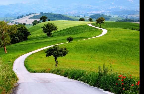 Hill Earth Nature Tree Grass Field Road Photography Landscape