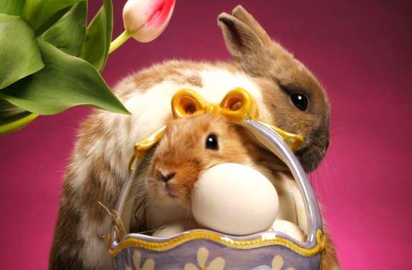 Holiday Easter Wallpaper wallpapers hd quality