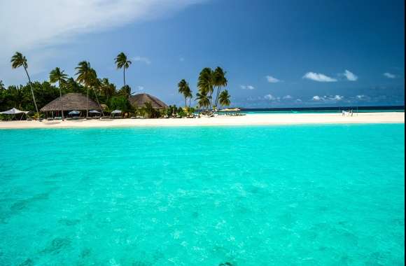 Holiday Palm Tree Beach Tropics Maldives Constance Halaveli Resort Photography Tropical