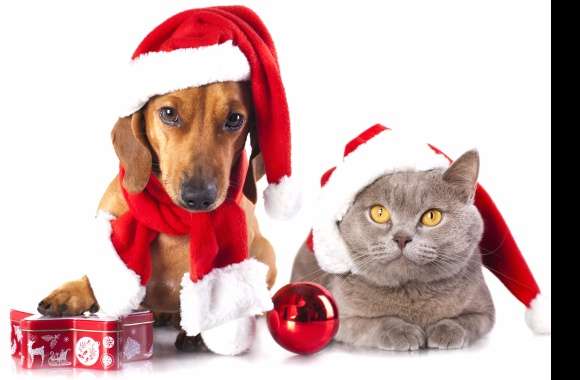 Holiday Pet Pals - HD Christmas Wallpaper