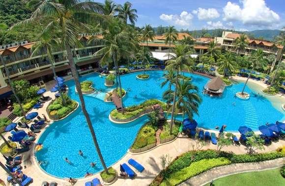 Holiday Thailand Palm Tree Phuket Pool Man Made Resort