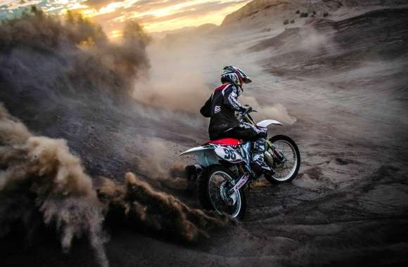 Honda Motocross Adventure -