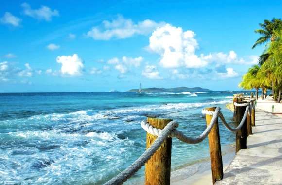 Horizon Palm Tree Rope Fence Caribbean Wave Sea Photography Ocean