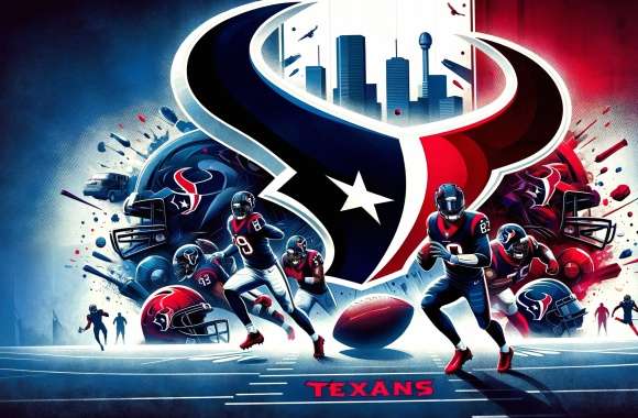 Houston Texans NFL Super Bowl Spirit - HD Football Wallpaper